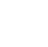 DB真人
